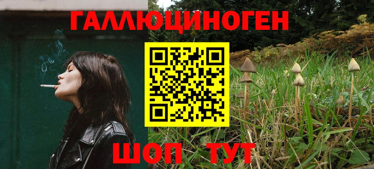 Псилоцибиновые грибы MAGIC MUSHROOMS Менделеевск